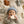 Moonie Teether 