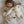 Moonie Hase mit Licht 2.0 