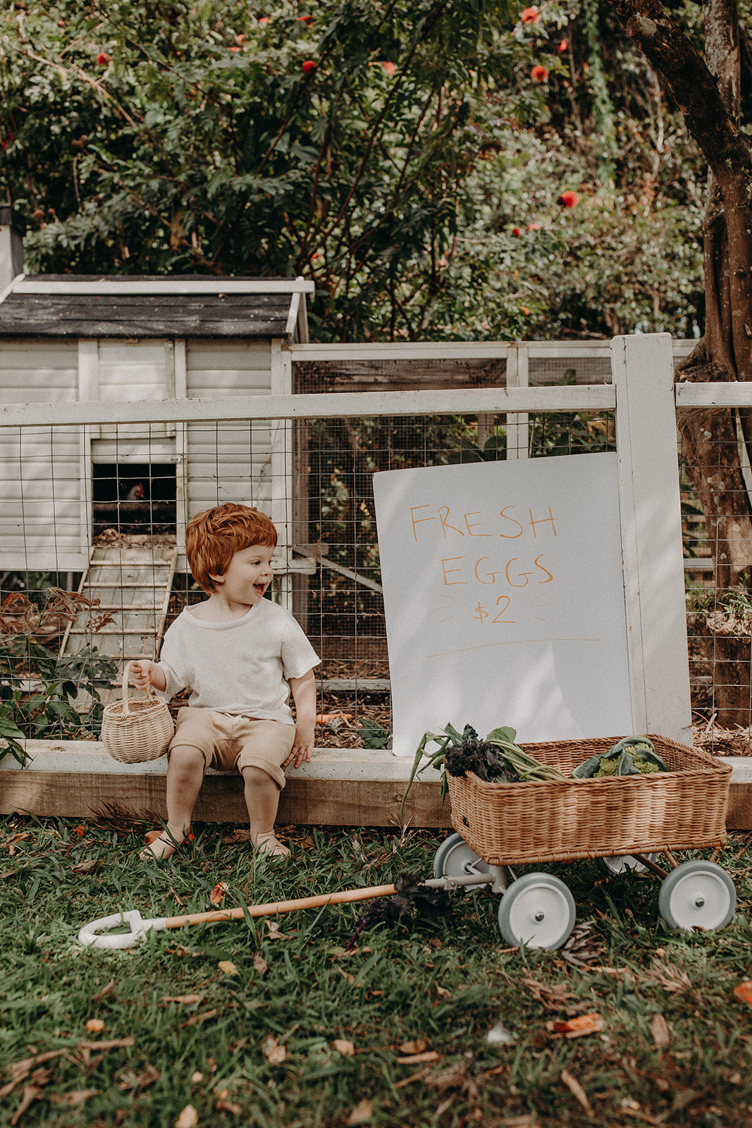 Olli Ella Leiterwagen "Wonder Wagon" Natural