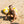 Petites Pommes Sally Schwimmring 90cm | Limonata (Gelb)