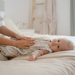 emma & noah Schlafsack 1.0 TOG in Vogel