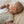 emma & noah Schlafsack 1.0 TOG in Vogel