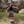 Stapelstein Balance Board | Violett