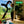 Waytoplay Autobahn | Highway