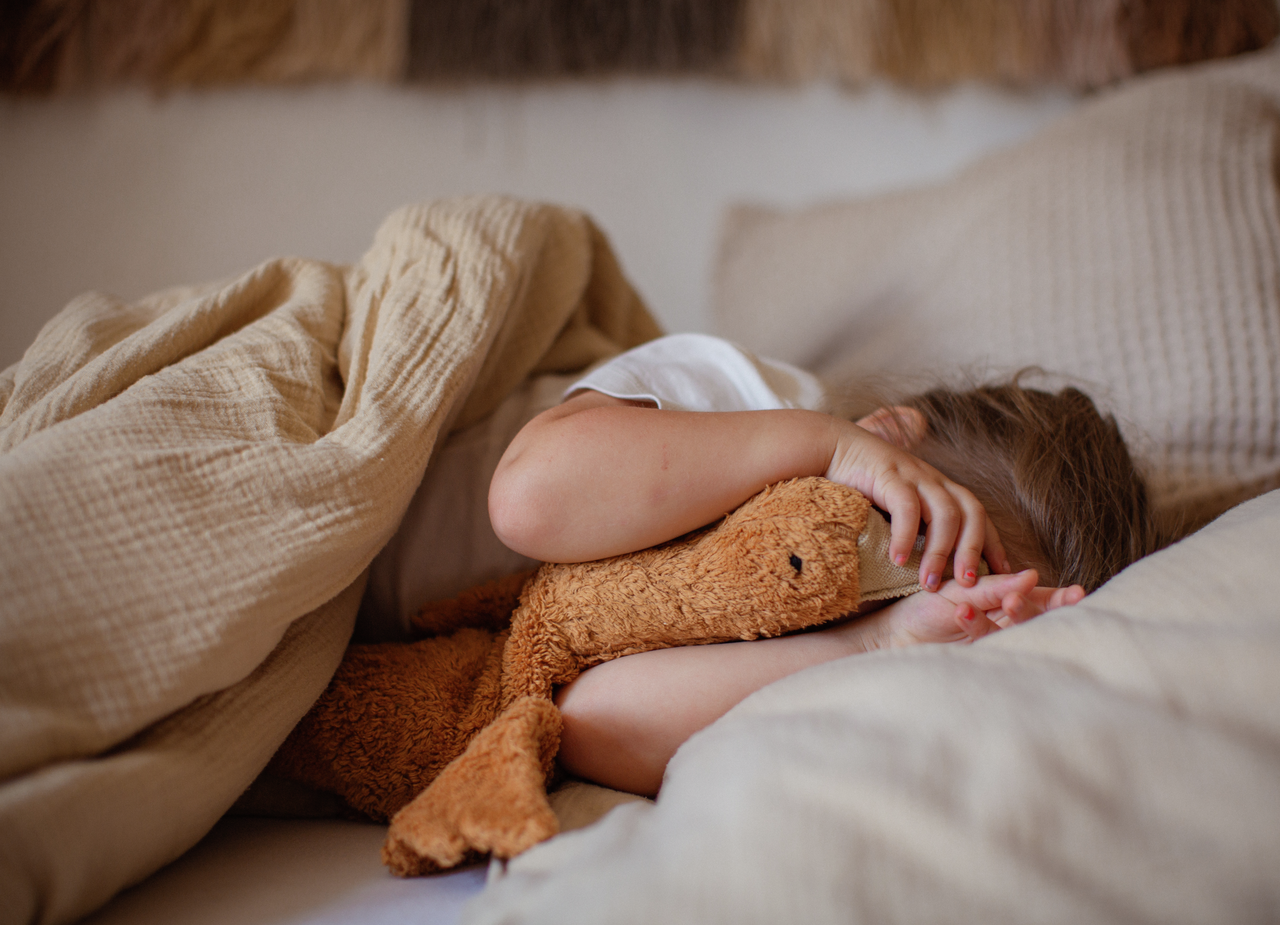 Senger Kuscheltier/Wärmekissen Gans klein | Rust