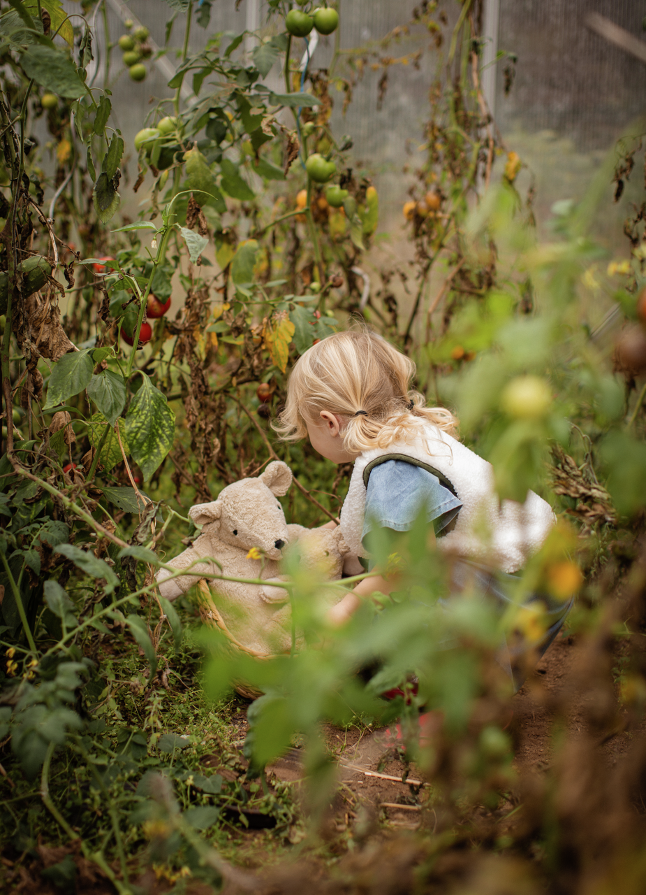 Senger Kuscheltier/Wärmekissen Bär gross | Leinen