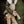 Senger Tierpuppe Hase gross | Beige