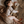 Senger Tierpuppe Hase klein | Beige