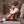 Senger Cuddly Toy Fox Small | Red