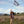 Sarah’s Silks Mini Seidentuch | Wald