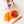 Foulard en soie Sarah’s Silks | Rouge