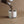 the Munio Soy Wax Scented Candle in Glass - Clove & Orange