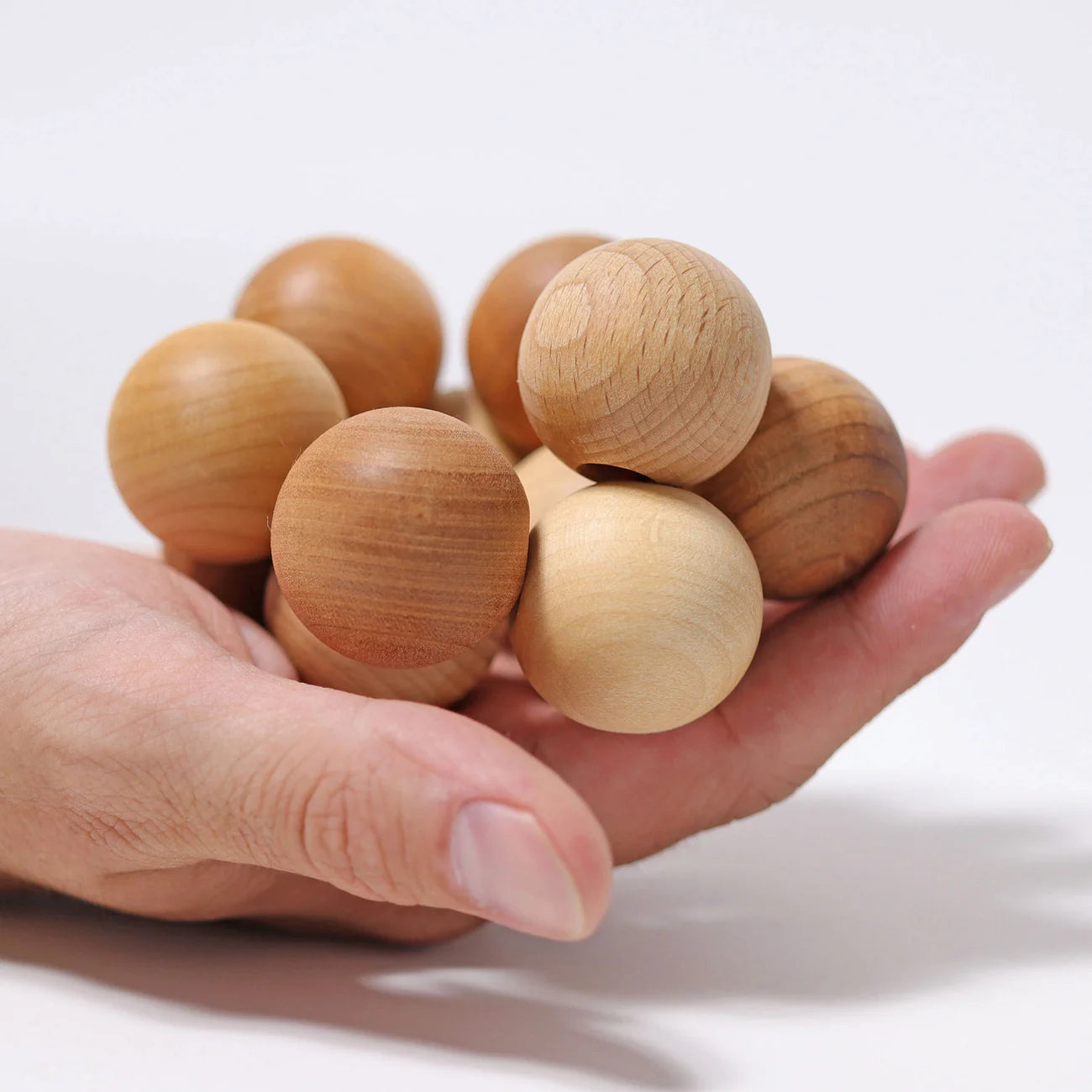 Grimm's Kugelgreifling Natur