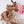Rose in April Bianca Doudou en mousseline 70x70cm | Vichy Caramel