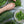 Kruut Oxymel aux herbes sauvages - Amer 500ml