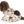 Teddy Hermann Plüschtier Drahthaar Welpe 30 cm