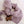 Rose in April lange en coton 70x70cm | Leo Rose