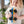 Connetix Tuiles Magnétiques 