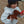 Konges Sløjd Kuscheltier – Chorizo Sausage DOG | Brown