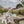 Senger Doudou Lapin grande | Blanc
