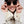 Izipizi Sonnenbrille 